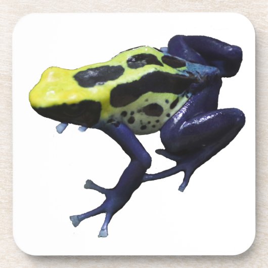 Poison Dart Frog Bier Onderzetter (Voorkant)