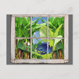Poison Dart Frog Briefkaart