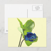 Poison Dart Frog Briefkaart (Voorkant / Achterkant)
