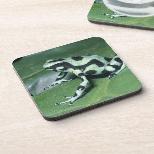 Poison Dart Frog (Dendrobates auratus) Cahuita Bier Onderzetter (Linkerzijde)