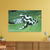 Poison Dart Frog (Dendrobates auratus) Cahuita Canvas Afdruk (Insitu (Woonkamer))