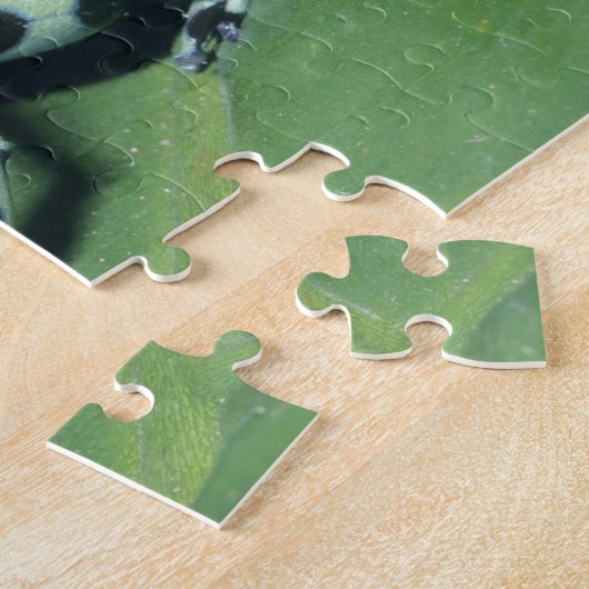 Poison Dart Frog (Dendrobates auratus) Cahuita Legpuzzel (Zijkant)