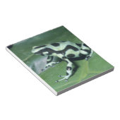 Poison Dart Frog (Dendrobates auratus) Cahuita Notitieblok (Schuin)