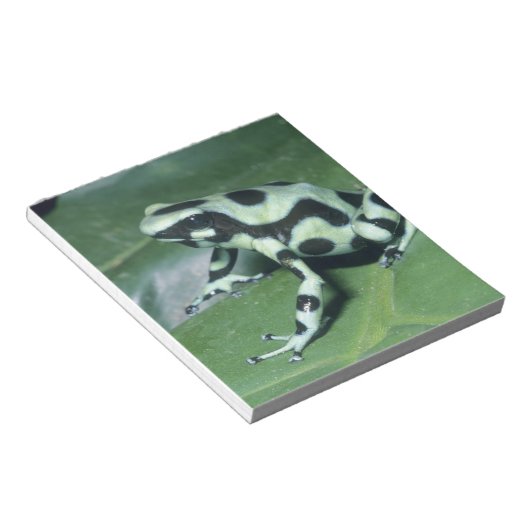 Poison Dart Frog (Dendrobates auratus) Cahuita Notitieblok (Schuin)