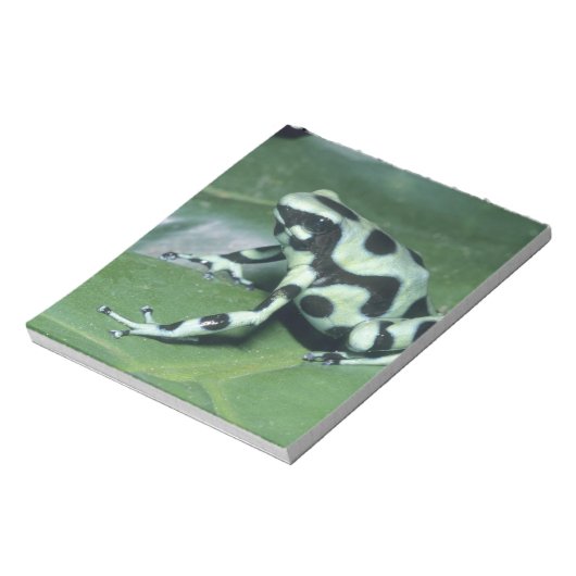 Poison Dart Frog (Dendrobates auratus) Cahuita Notitieblok (Linkerzijde)