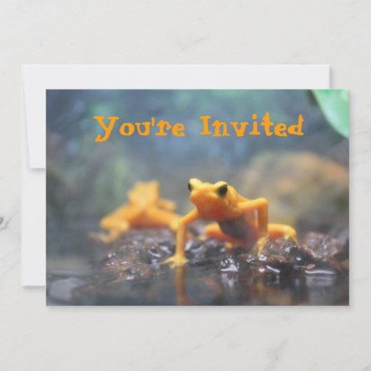 Poison Dart Frog Invitation Kaart (Voorkant)