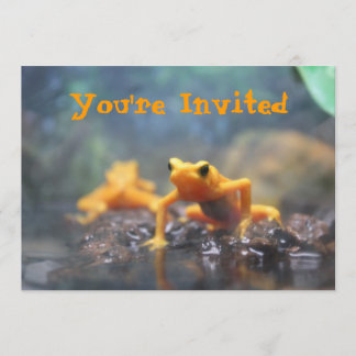 Poison Dart Frog Invitation Kaart