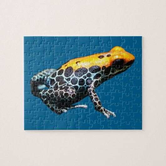 Poison Dart Frog Legpuzzel (Horizontaal)