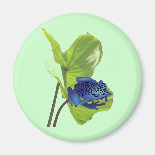 Poison Dart Frog Magneet (Voorkant)