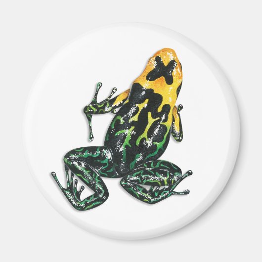 Poison Dart Frog Magnet (Voorkant)