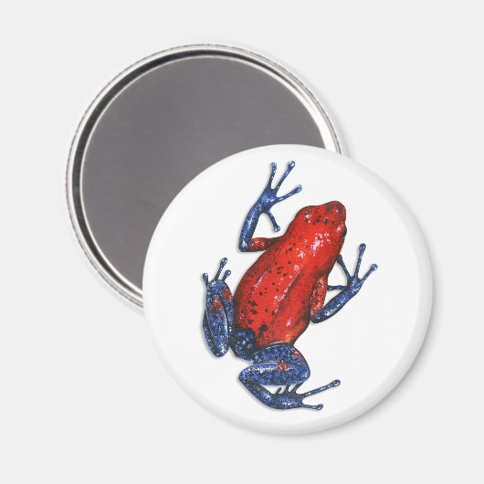 Poison Dart Frog Magnet (Voorkant / Achterkant)