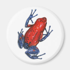 Poison Dart Frog Magnet