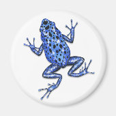 Poison Dart Frog Magnet (Voorkant)