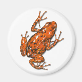 Poison Dart Frog Magnet