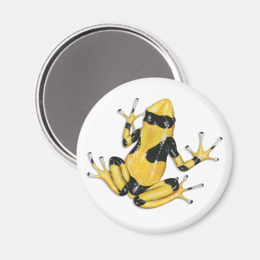 Poison Dart Frog Magnet (Voorkant / Achterkant)