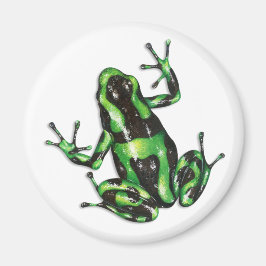 Poison Dart Frog Magnet