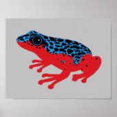 Poison Dart Frog Poster (Voorkant)