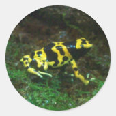 Poison Dart Frog Ronde Sticker (Voorkant)