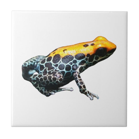 Poison Dart Frog Tegeltje (Voorkant)