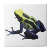 Poison Dart Frog Tegeltje (Voorkant)