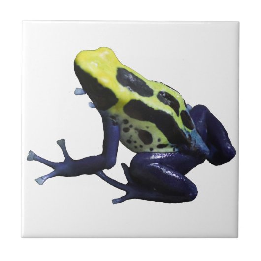 Poison Dart Frog Tegeltje (Voorkant)
