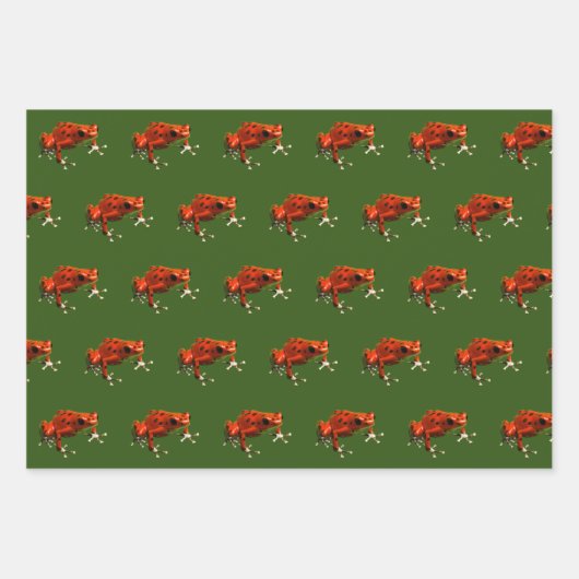 Poison Dart Frogs Inpakpapier Vel (Voorkant 2)