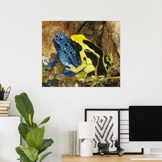 Poison Dart Frogs Poster (Thuiskantoor)