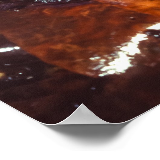 Poison Dart Frogs Poster (Hoek)