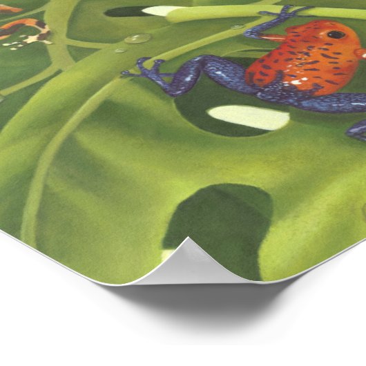 Poison Dart Frogs Poster (Hoek)