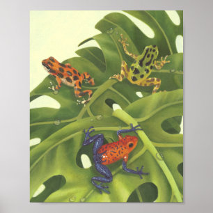 Poison Dart Frogs Poster
