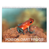 Poison dart kikkerkalender kalender (Hoes)