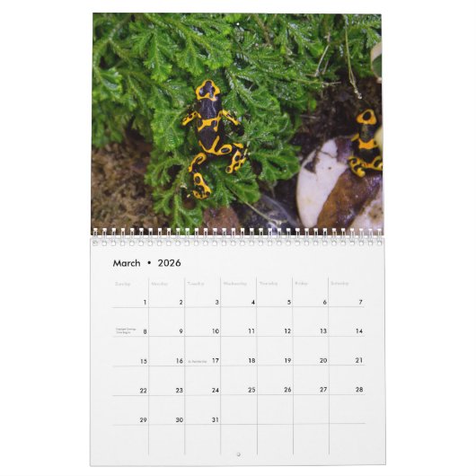 Poison dart kikkers kalender 2025 (Mar 2026)