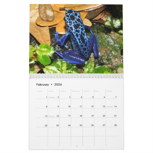 Poison dart kikkers kalender 2025 (Feb 2026)