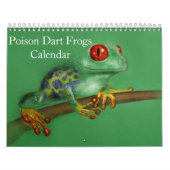 Poison dart kikkers kalender 2025 (Hoes)