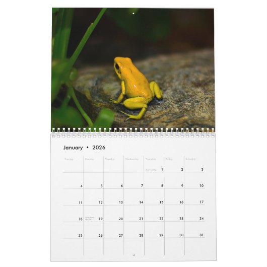 Poison dart kikkers kalender 2025 (Jan 2026)