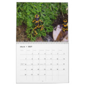 Poison dart kikkers kalender 2025 (Mar 2027)