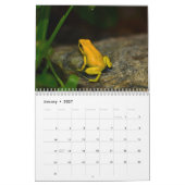 Poison dart kikkers kalender 2025 (Jan 2027)