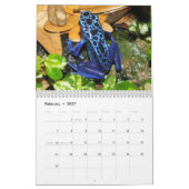 Poison dart kikkers kalender 2025 (Feb 2027)