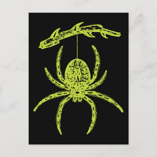 Poison Green Spider Briefkaart (Voorkant)