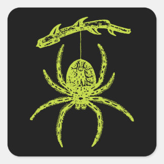 Poison Green Spider Vierkante Sticker