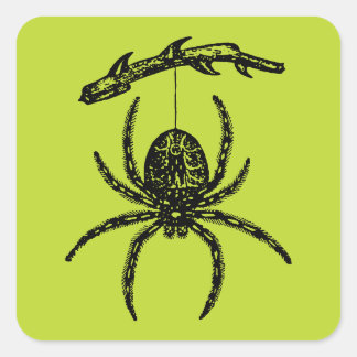 Poison Green Spider Vierkante Sticker