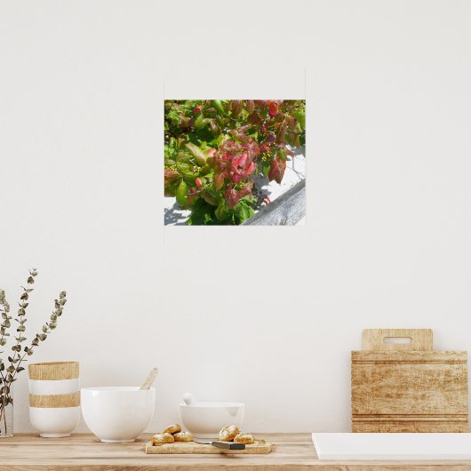 Poison Ivy Poster (Keuken)