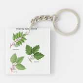 Poison Ivy Sleutelhanger (Achterkant)