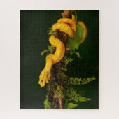 Poison Viper Snake uit Costa Rica Legpuzzel (Verticaal)