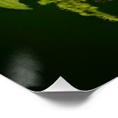 Poison Viper Snake uit Costa Rica Perfect Poster (Hoek)