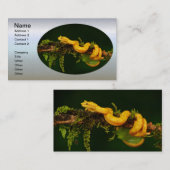 Poison Viper Snake uit Costa Rica Visitekaartje (Voorkant / Achterkant)