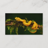 Poison Viper Snake uit Costa Rica Visitekaartje (Achterkant)