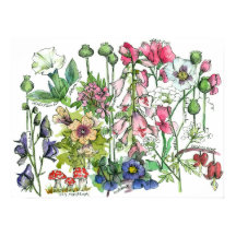 Poisoneus Plant Herbs Waterverf Flowers