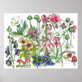 Poisoneus Plant Herbs Waterverf Flowers Poster