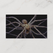 Poisoneuze neusspin visitekaartje (Achterkant)